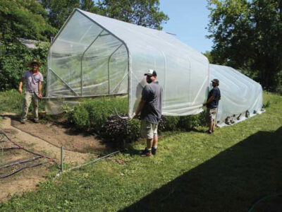 5 Ways We Can Scale Sustainable Farming Image